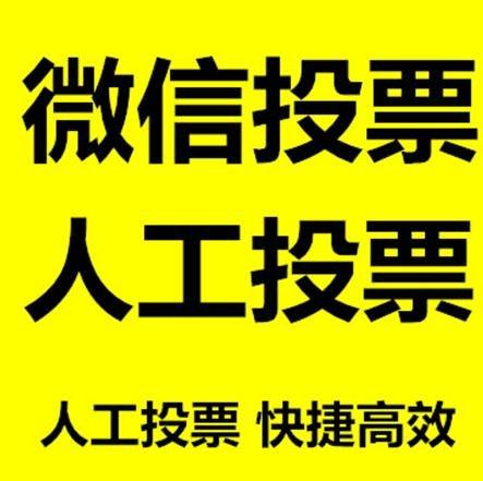 莱芜市投票活动拉票能被查出来吗？如何操作能不被发现？